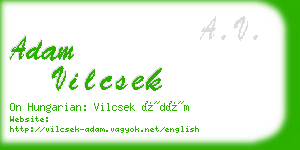 adam vilcsek business card